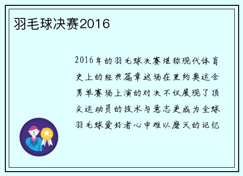 羽毛球决赛2016